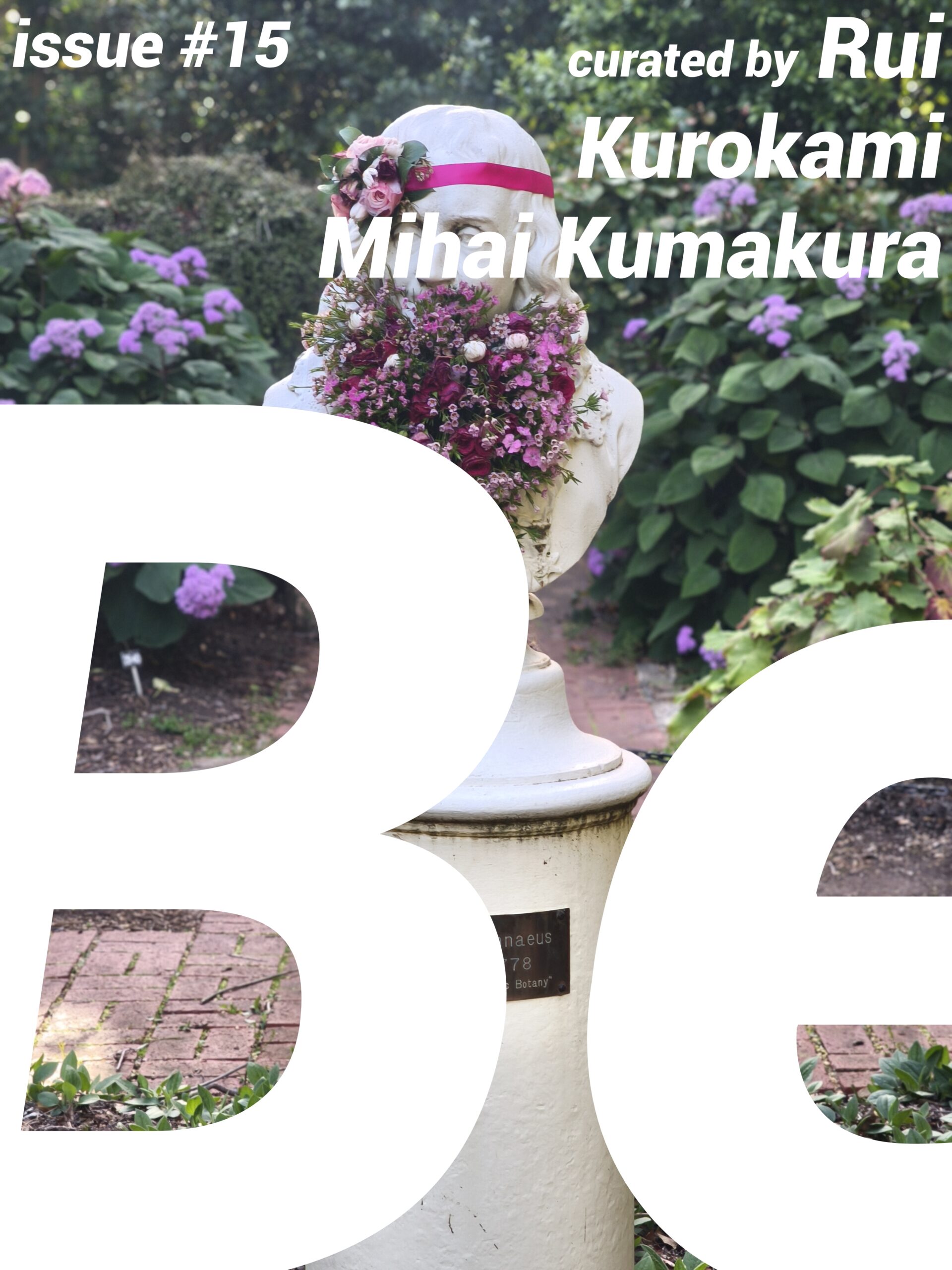 Be #15 – B-REVIEW FORUM